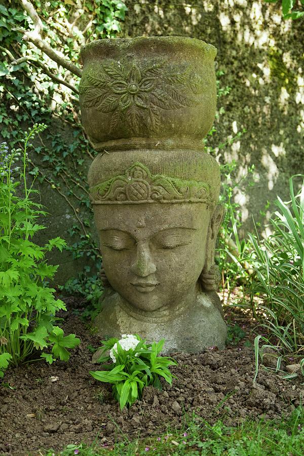 Stone Head Of Buddha With Integrated Planter In Flowerbed Photograph by Mohrimages