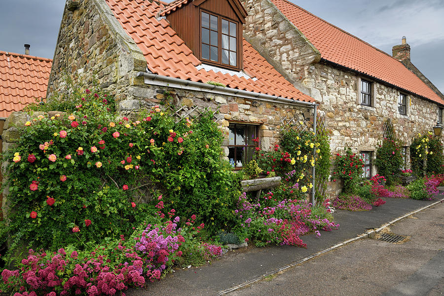 Stone house with red valerian and climbing roses in garden at Ma Photograph by Reimar Gaertner