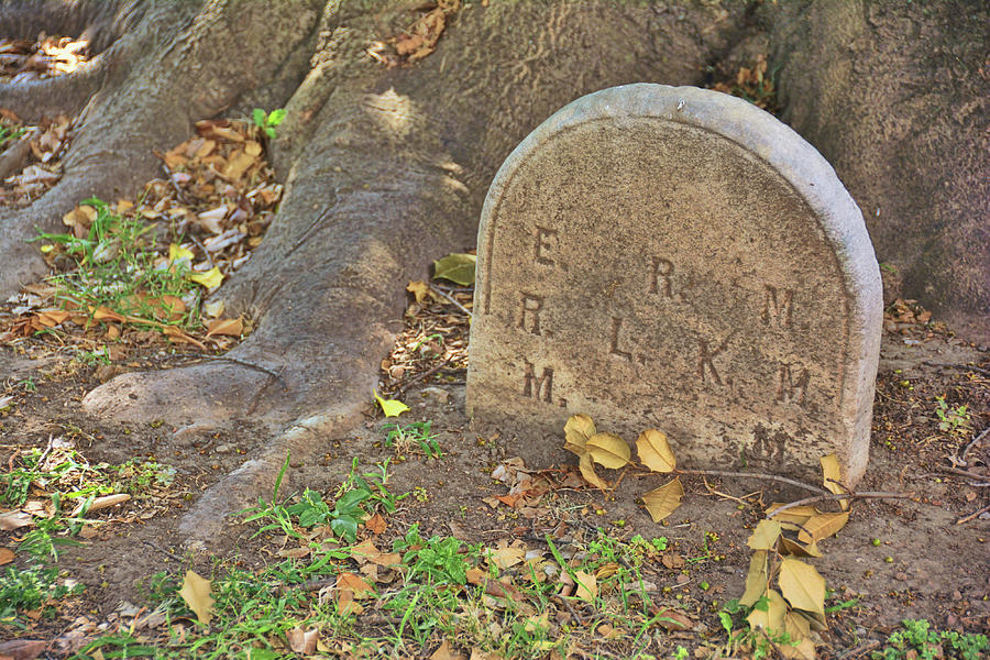 Stone Marker Photograph By Jamart Photography