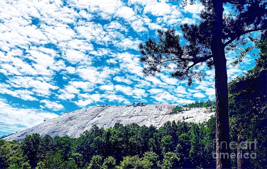 Stone Mountain Georgia Photograph By Paul Wilford 