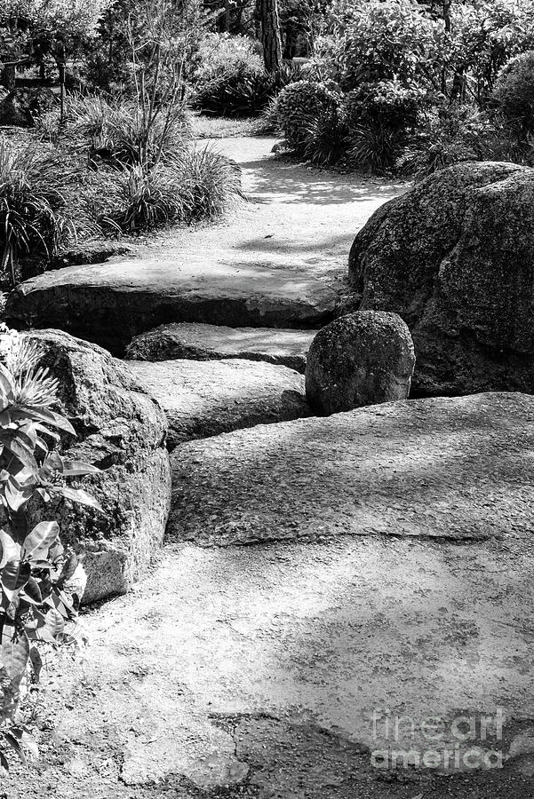 STONE PATH BW by Judy Wolinsky STONE PATH BW by Judy Wolinsky