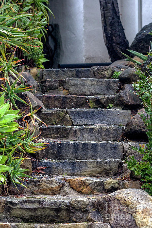 Stone Stairs Photograph