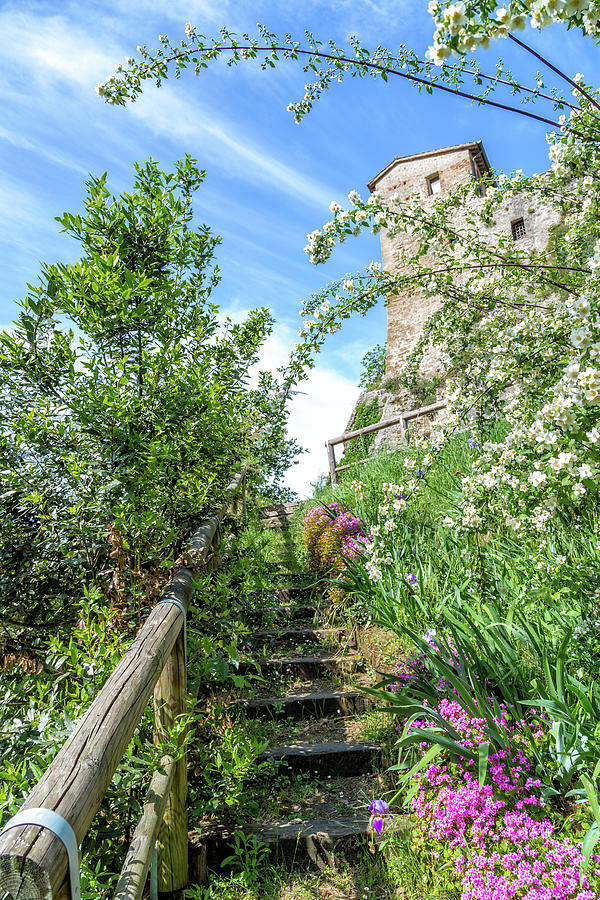 Stone steps and flowers to ancient fortress Photograph by Vivida Photo PC