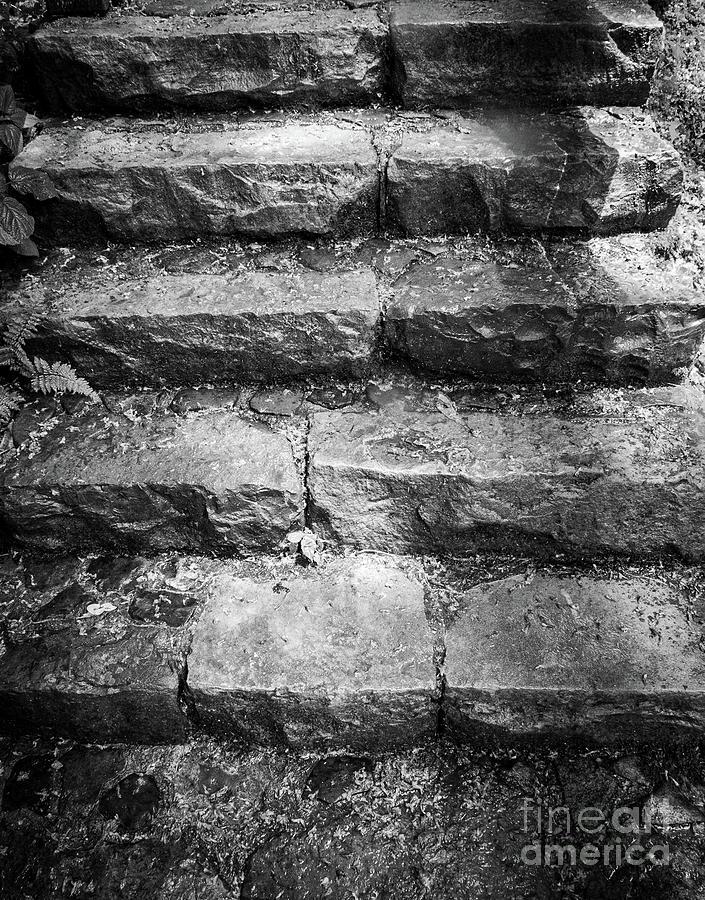 Stone Steps Photograph by Bob Mintie