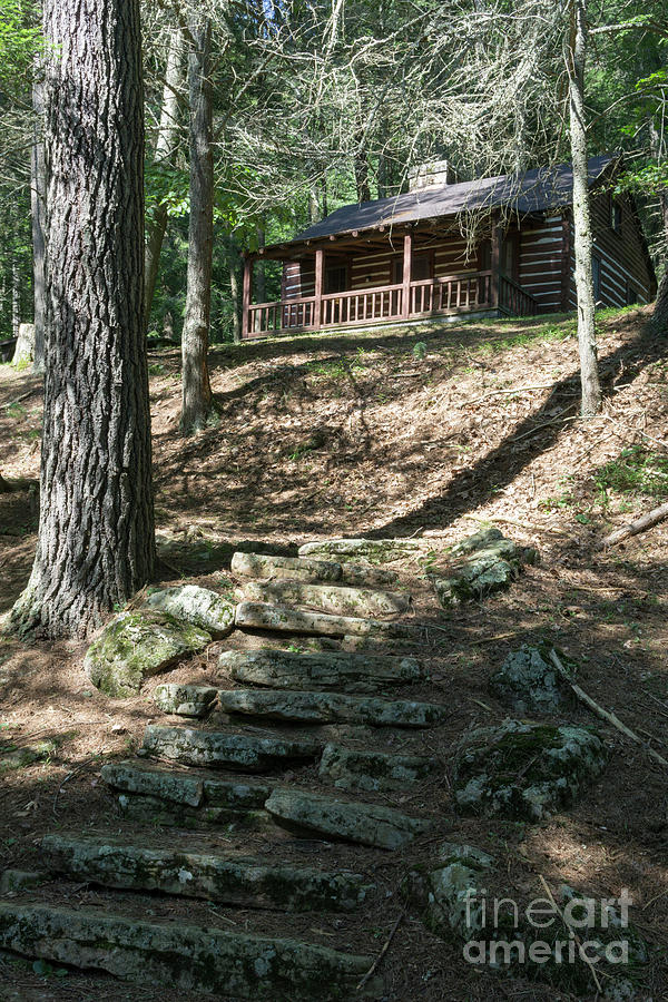 Stone steps lead up fo a log cabin for guests at Lost River Stat Photograph by William Kuta