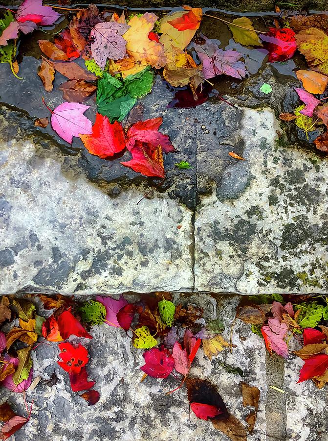 Stone, Steps Showily Seasoned Photograph by Terri Hart-Ellis