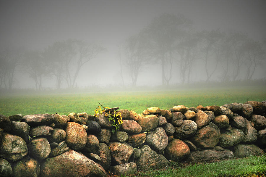Stone wall in Rhode Island with fog Photograph by Cordia Murphy