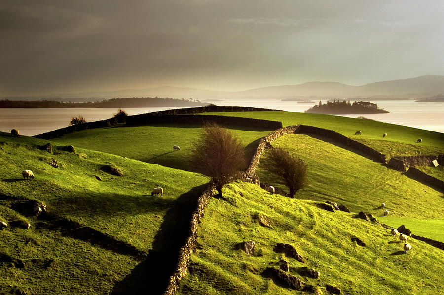 Stone Walls On Grassy Rural Hillside Photograph by George Karbus Photography