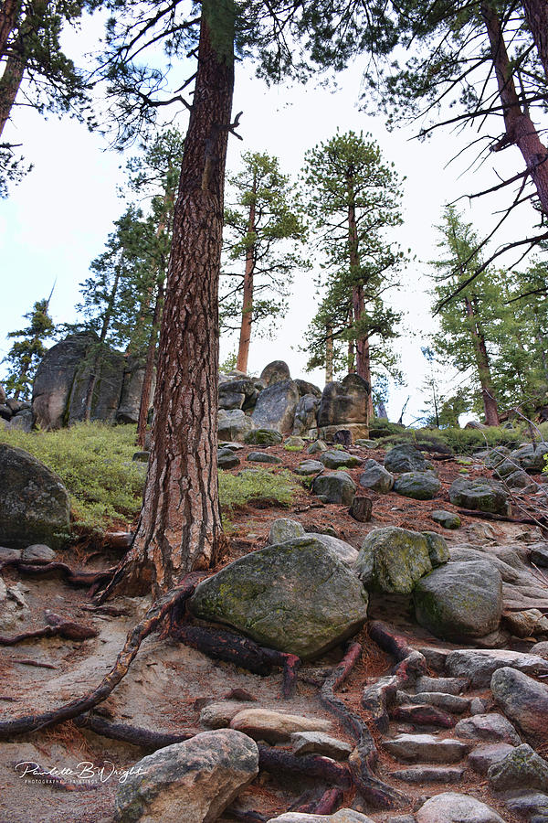 Stonehenge Along The Trail by Paulette B Wright Stonehenge Along The Trail by Paulette B Wright