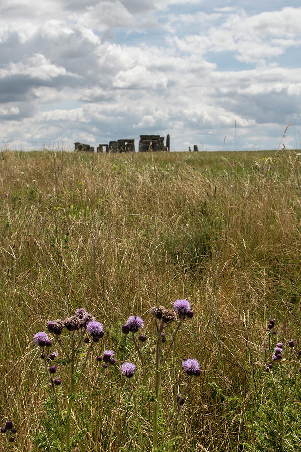 Stonehenge and Flowers Photograph by John McGraw