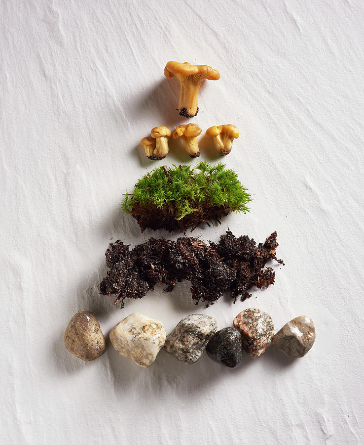 Stones, Earth, Moss And Chanterelles Arranged In A Pyramid Shape Photograph by Magdalena & Krzysztof Duklas