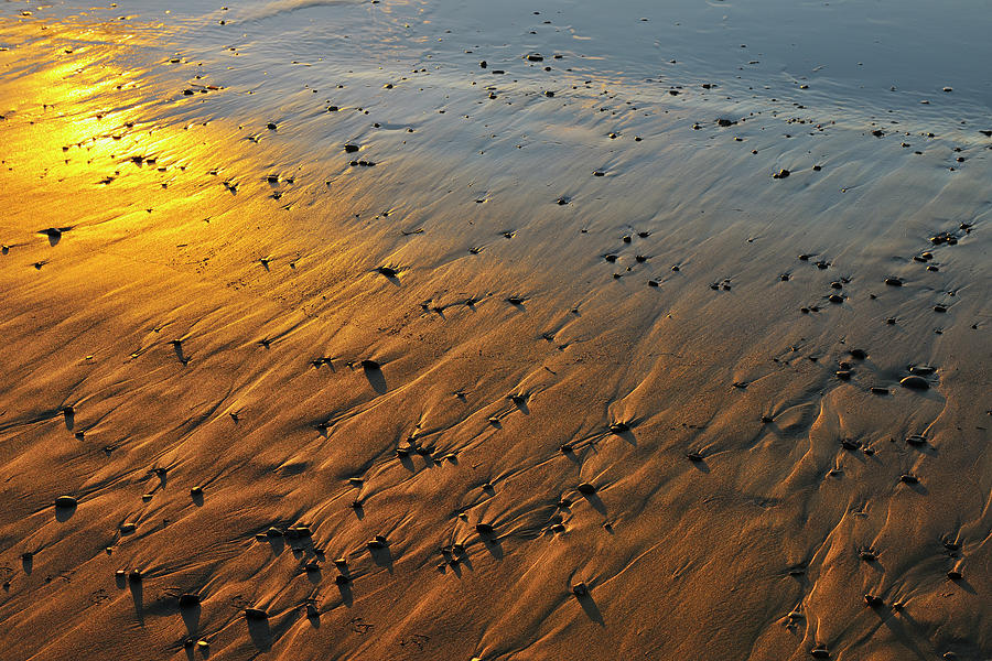 Stones On The Sandy Beach Photograph by Raimund Linke