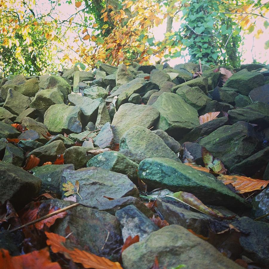 Stones by Samuel Pye Stones by Samuel Pye