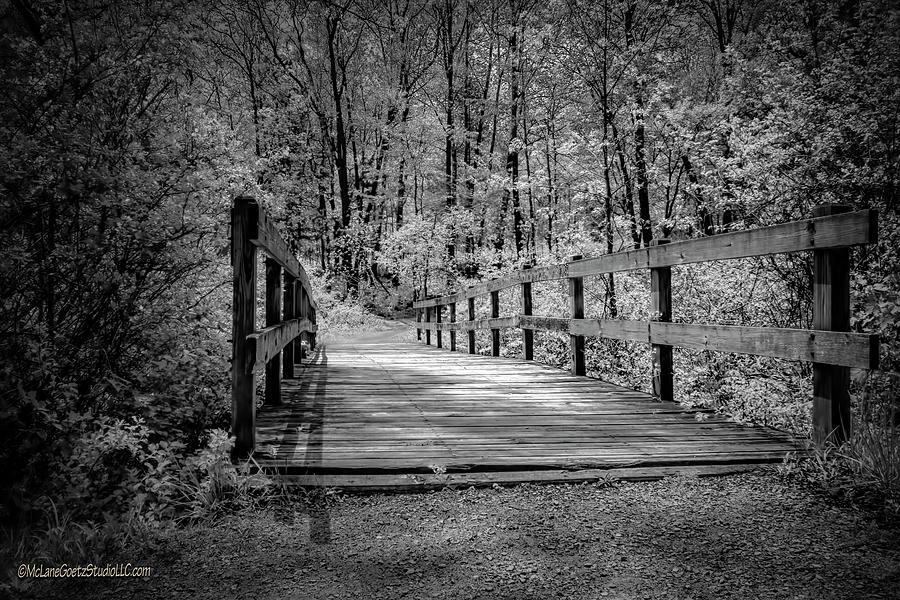 Stoney Creek Reflection Trail Bridge Photograph by LeeAnn McLaneGoetz McLaneGoetzStudioLLCcom