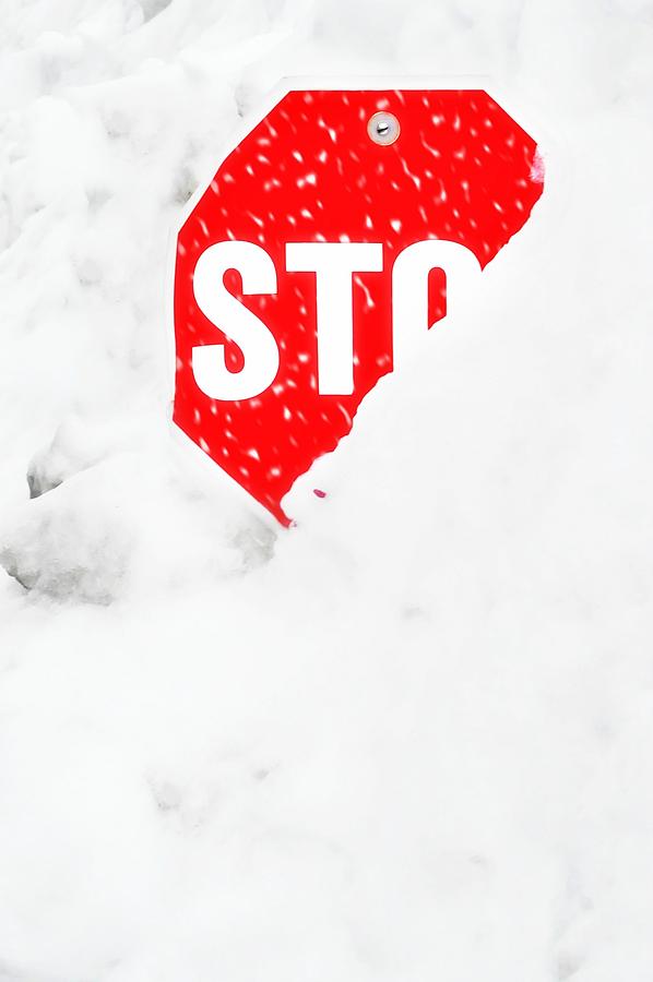 Stop Photograph by Diana Angstadt