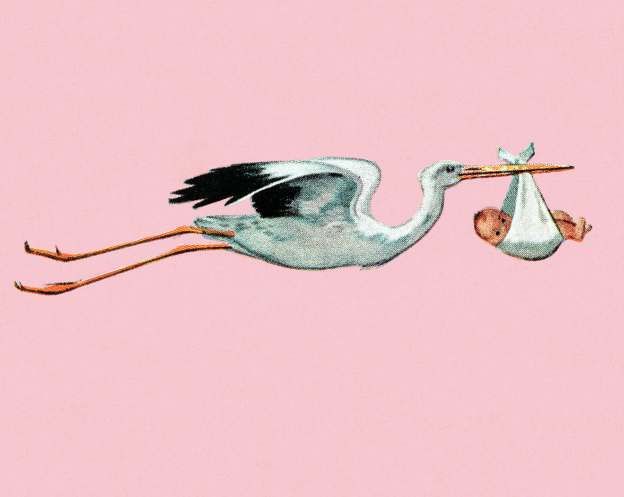 Stork Drawing - Stork delivery by CSA Images