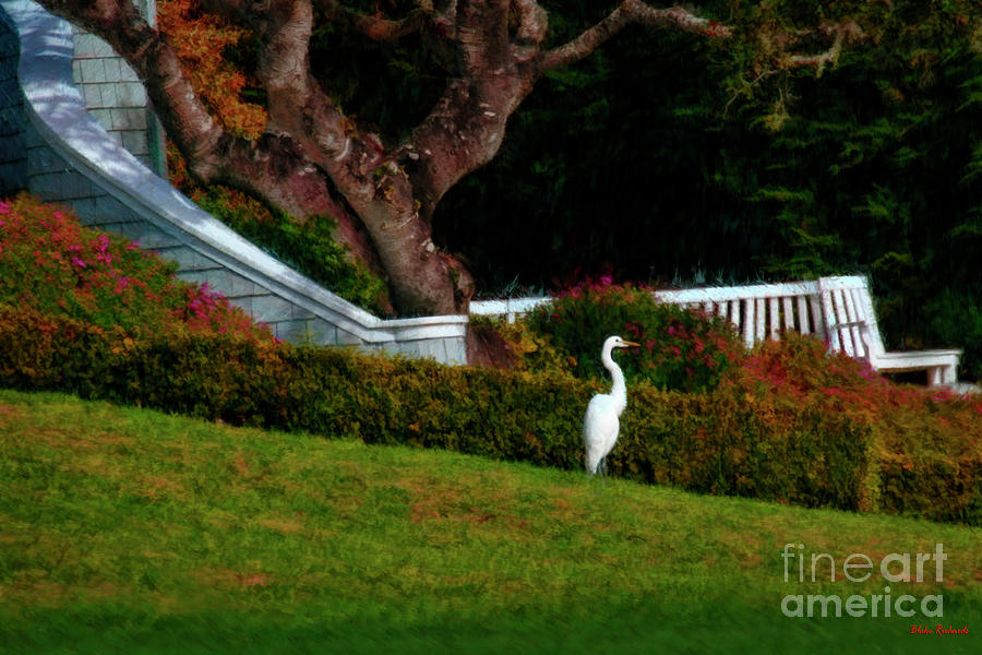 Stork In Paradise by Blake Richards Stork In Paradise by Blake Richards