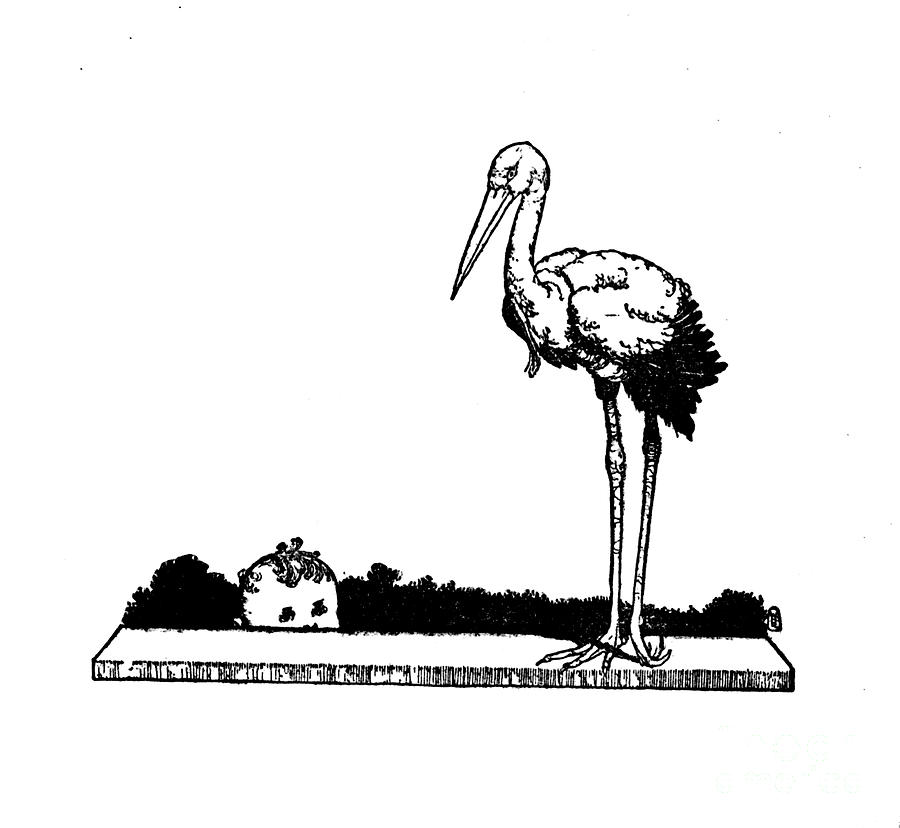 Stork Stork Long-legged Stork C1930 Drawing by Print Collector