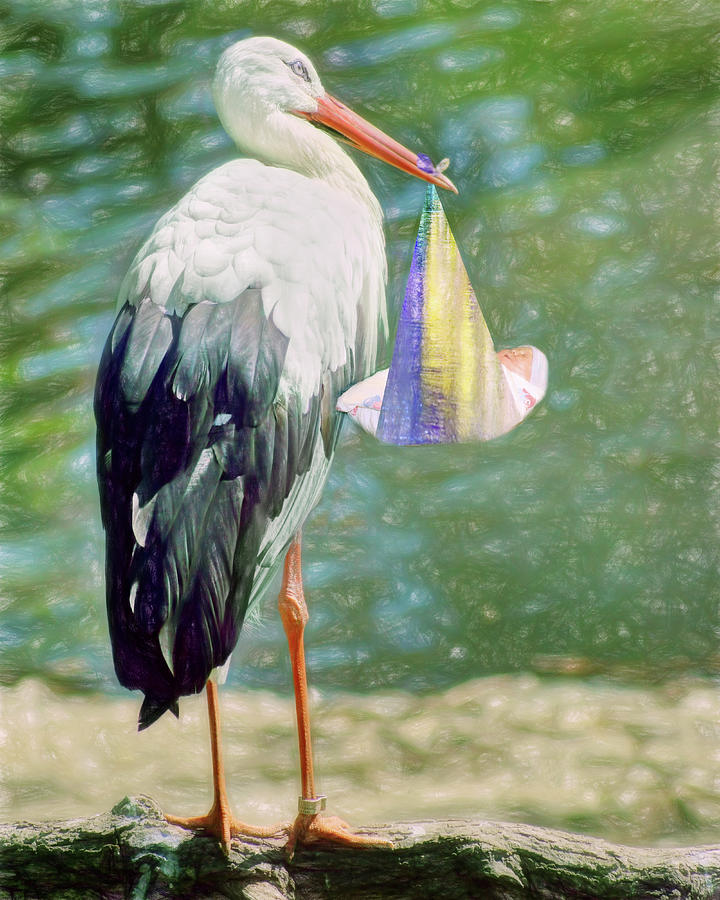 Stork with Baby - Green Photograph by Nikolyn McDonald