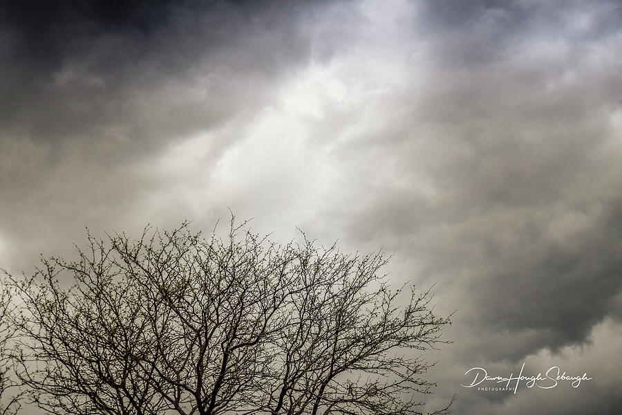 Storm Clouds Photograph by Dawn Hough Sebaugh
