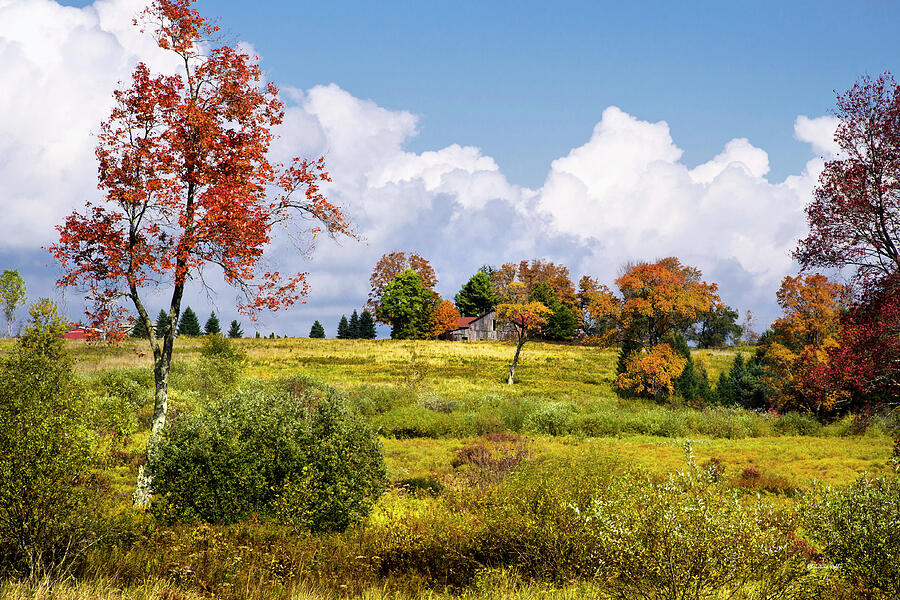 Fall Trees On Country Landscape Photograph by Christina Rollo