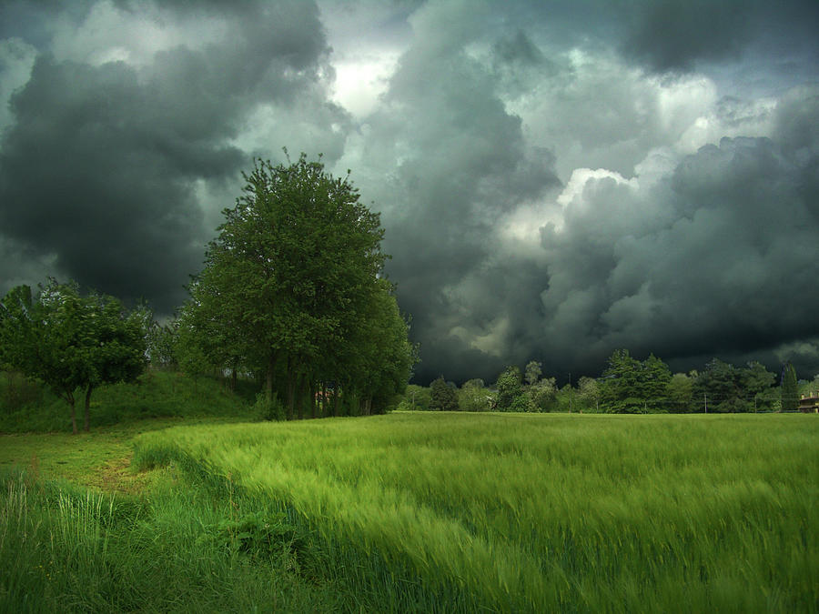 Storm Photograph by Dima Lauzzana