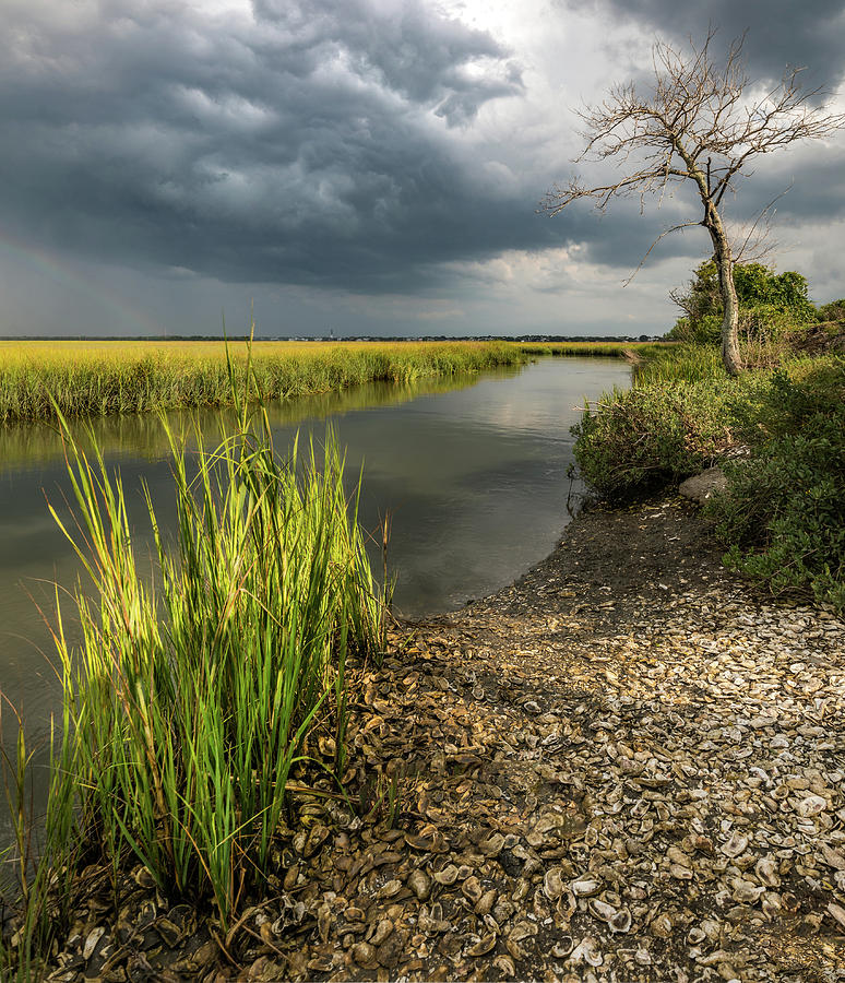 Pitt Street Bridge Storm Hues by Donnie Whitaker Pitt Street Bridge Storm Hues by Donnie Whitaker
