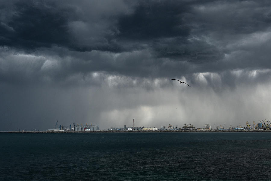 Storm Is Coming Photograph by Olivia Popescu