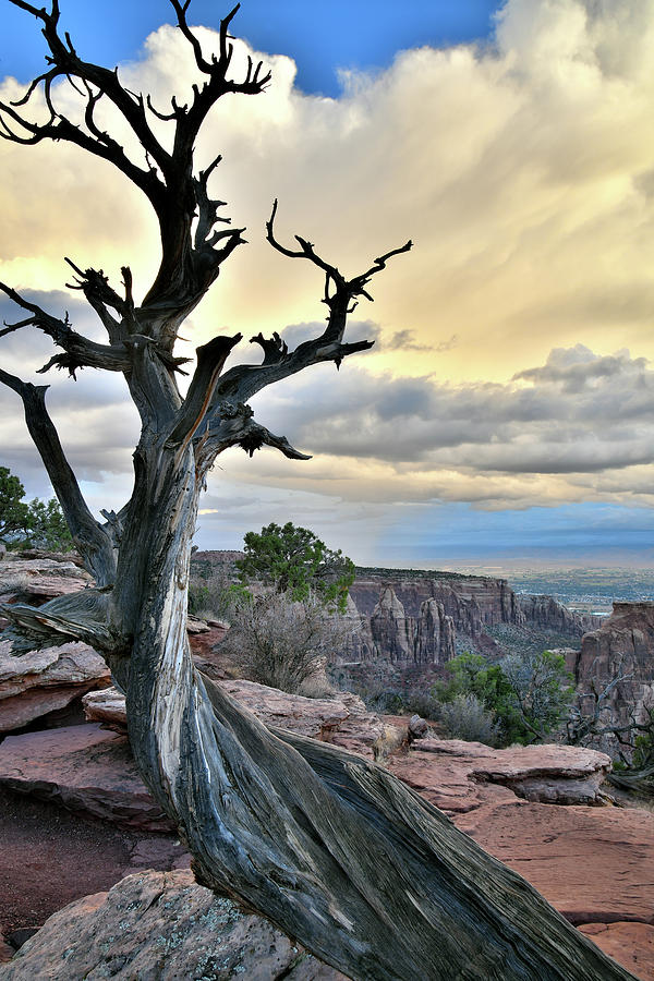 Storm over Colorado National Monument at Sunrise Photograph by Ray Mathis