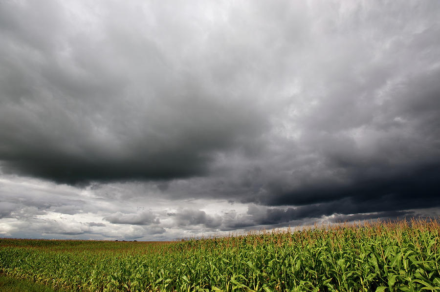 Storm Over Corn Fields Photograph by Digi guru