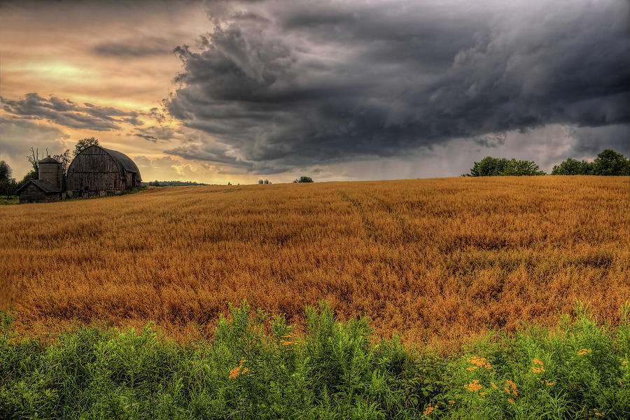 Storm Over Golden Grain Photograph by Dale Kauzlaric