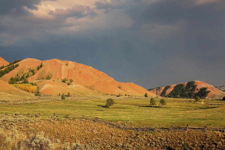 Storm over Red Hills  Photograph by Alex Mironyuk