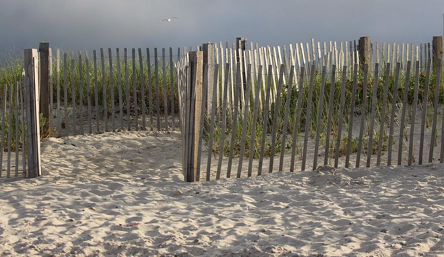 Storm over State Beach Photograph by On The Go Candace Daniels - Fine ...