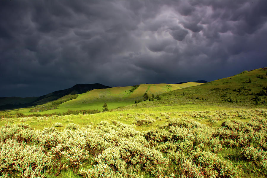 Storm over Tom Miner Basin Photograph by Douglas Wielfaert
