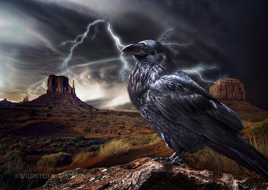 Storm Watch Digital Art by Brenda Wilcox aka Wildeyed n Wicked