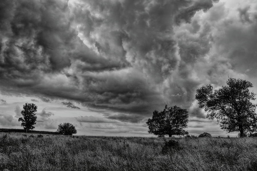 Storming Over The Pasture Black And White Photograph by Dale Kauzlaric
