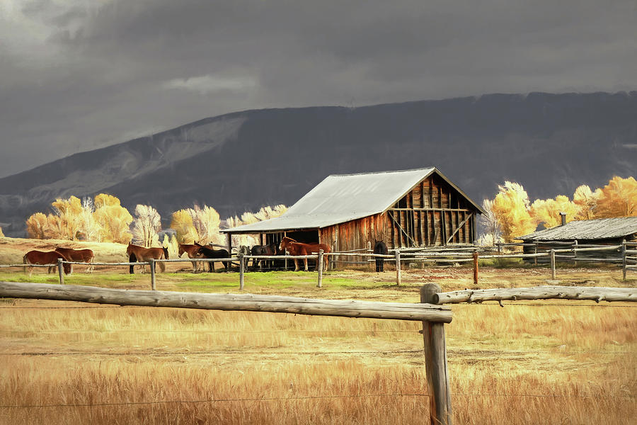 Stormy Autumn Day In Wyoming Photograph by Donna Kennedy