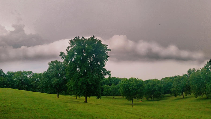 Stormy Day In The Park Photograph