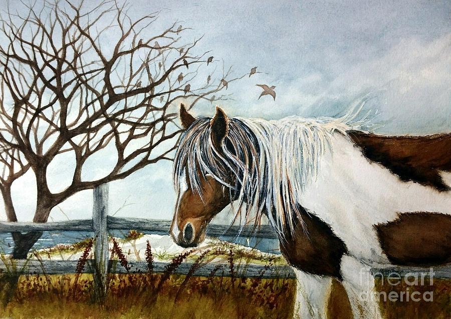 Stormy Island Pony - Assateague Island wild Pony 1 by Janine Riley Stormy Island Pony - Assateague Island wild Pony 1 by Janine Riley