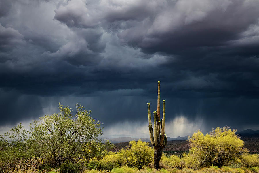 Stormy Sonoran Skies  Photograph by Saija Lehtonen