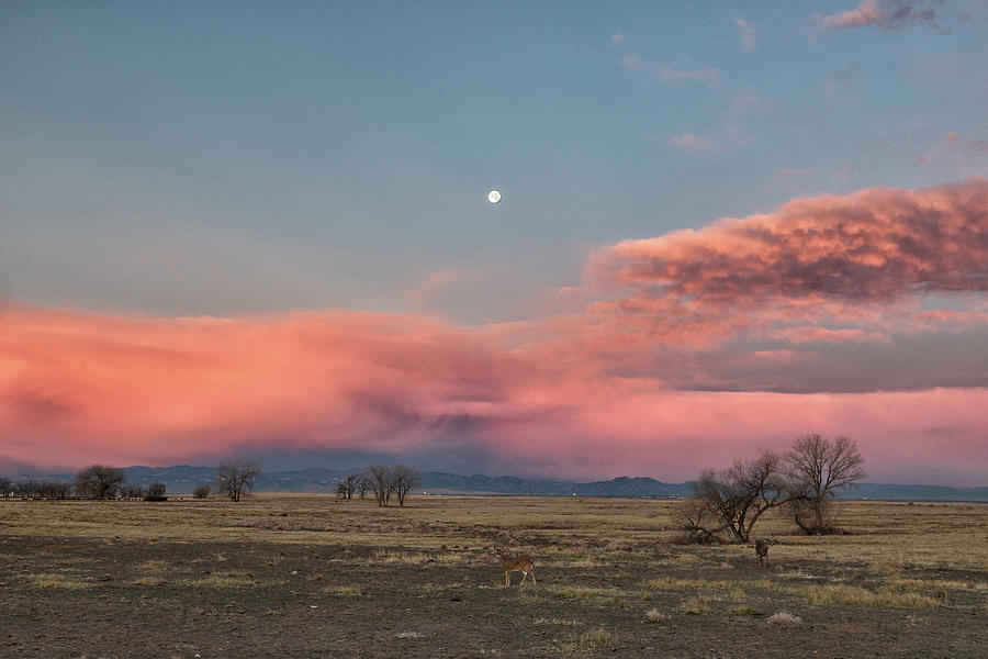 Stormy Sunrise Clouds and a Setting Moon Photograph by Tony Hake