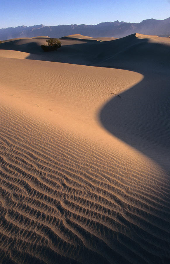 Stovepipe Wells, Sand Dunes, Death Photograph by John Elk Iii