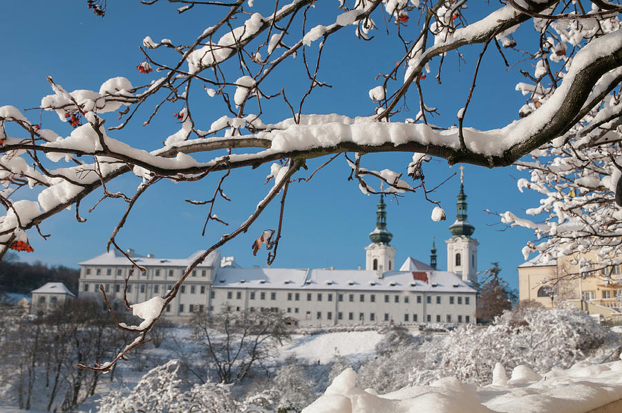 Strahov Monastery. View through Snowy Branches Photograph by Jenny Rainbow