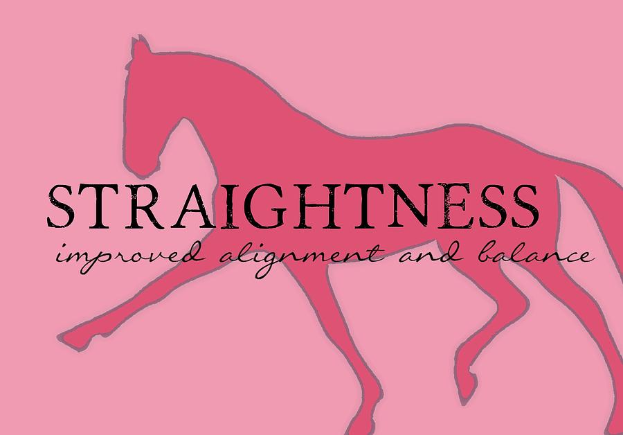 Straightness Photograph by Dressage Design