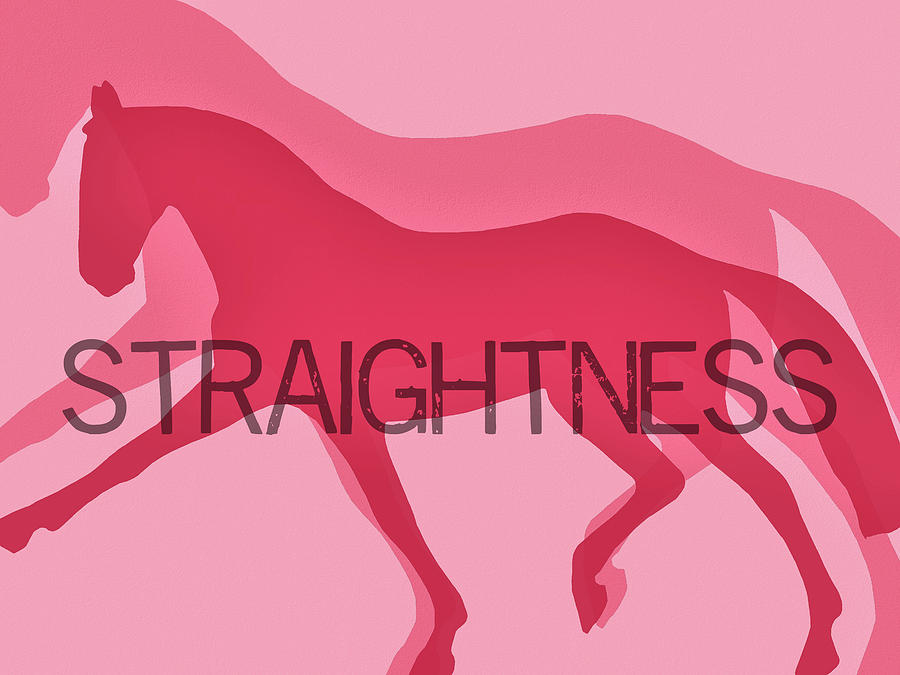 Straightness Duet Photograph by Dressage Design