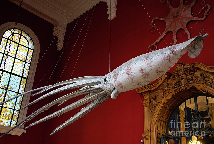 Strange Creatures At The Oceanographic Museum Of Monaco Jacques Cousteau Museum Photograph