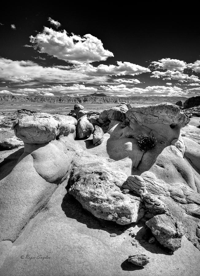 Strange Rocks 33 Photograph by Roger Snyder