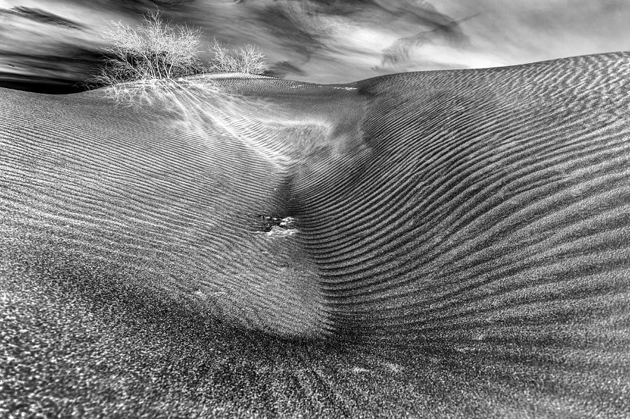 Strange Sanddune Photograph by Charles Lai