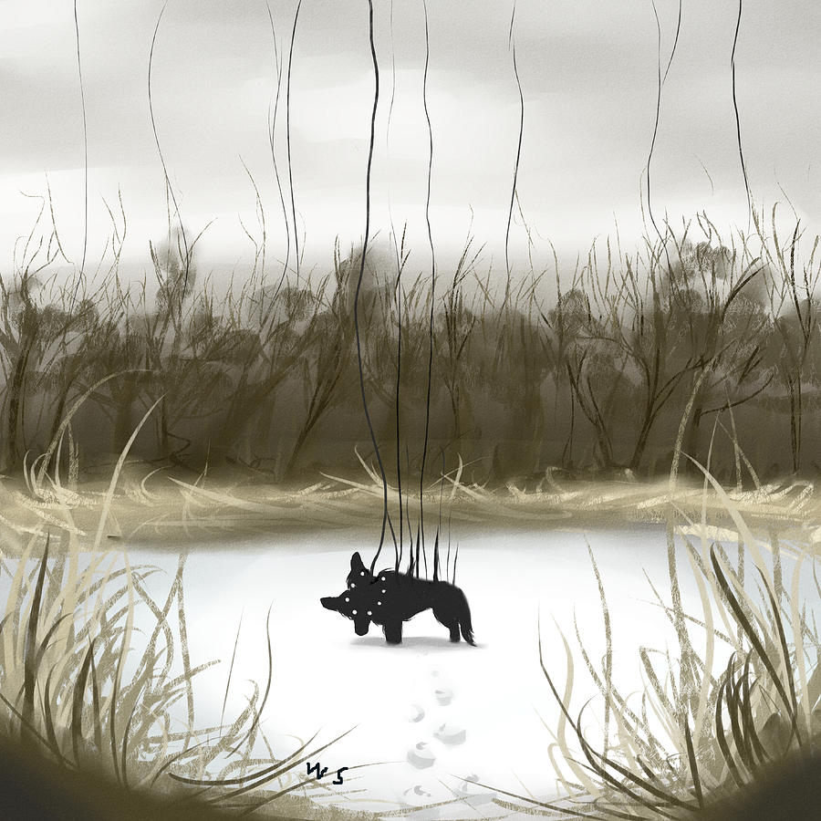 Strange Sight by Willow Schafer Strange Sight by Willow Schafer