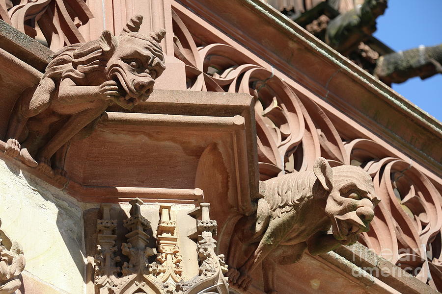 Architecture Photograph - Strasbourg Cathedral Gargoyles  by Christiane Schulze Art And Photography